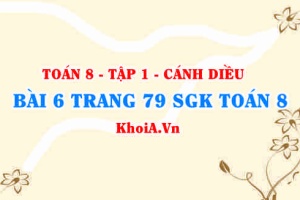 Bài 6 trang 79 SGK Toán 8 tập 1 Cánh Diều